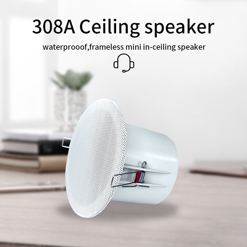 Altavoces de techo con sistema - Audio Music Background Free reseña y precio