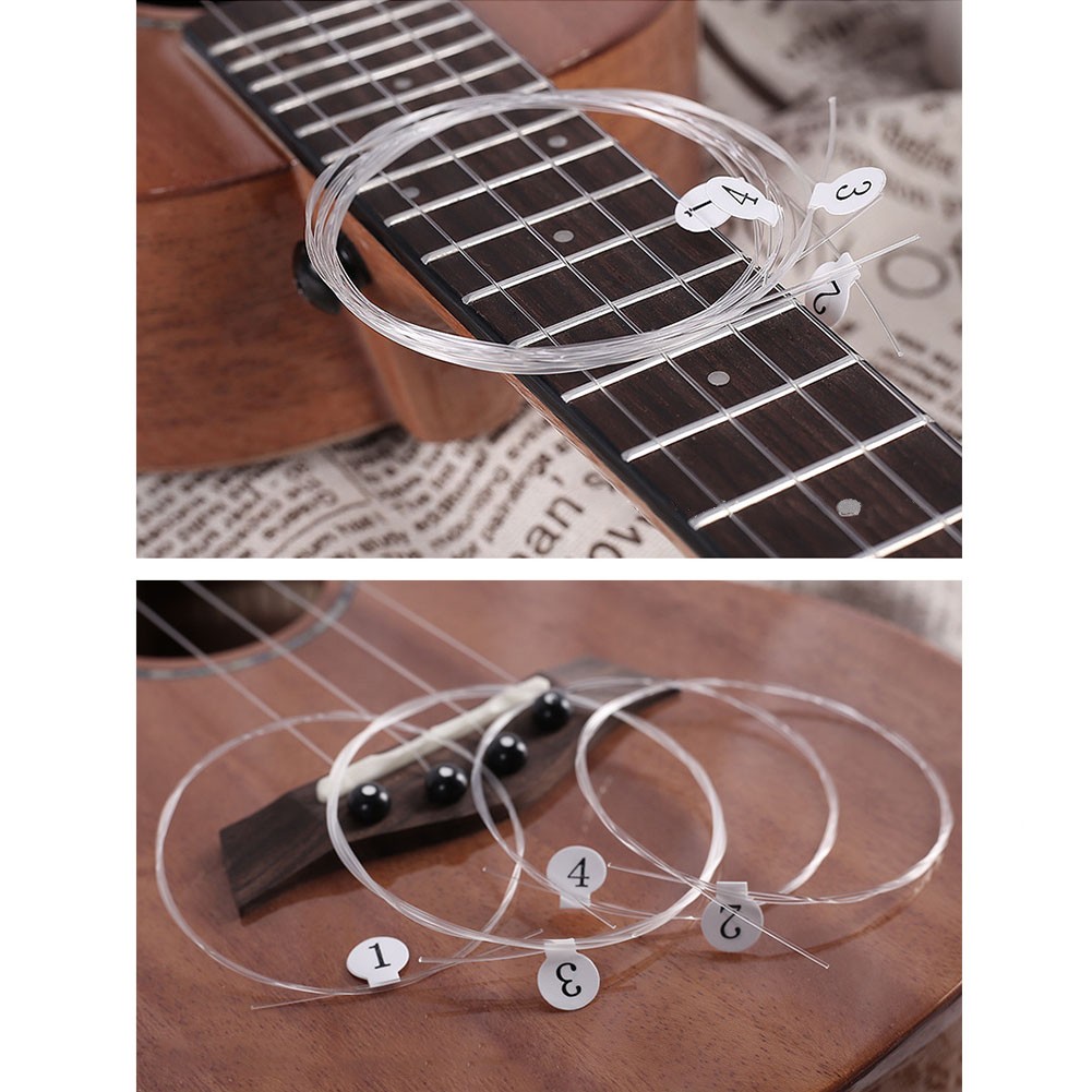Cuerdas de carbono para ukelel - Ukulele Beginner Kit reseña y precio