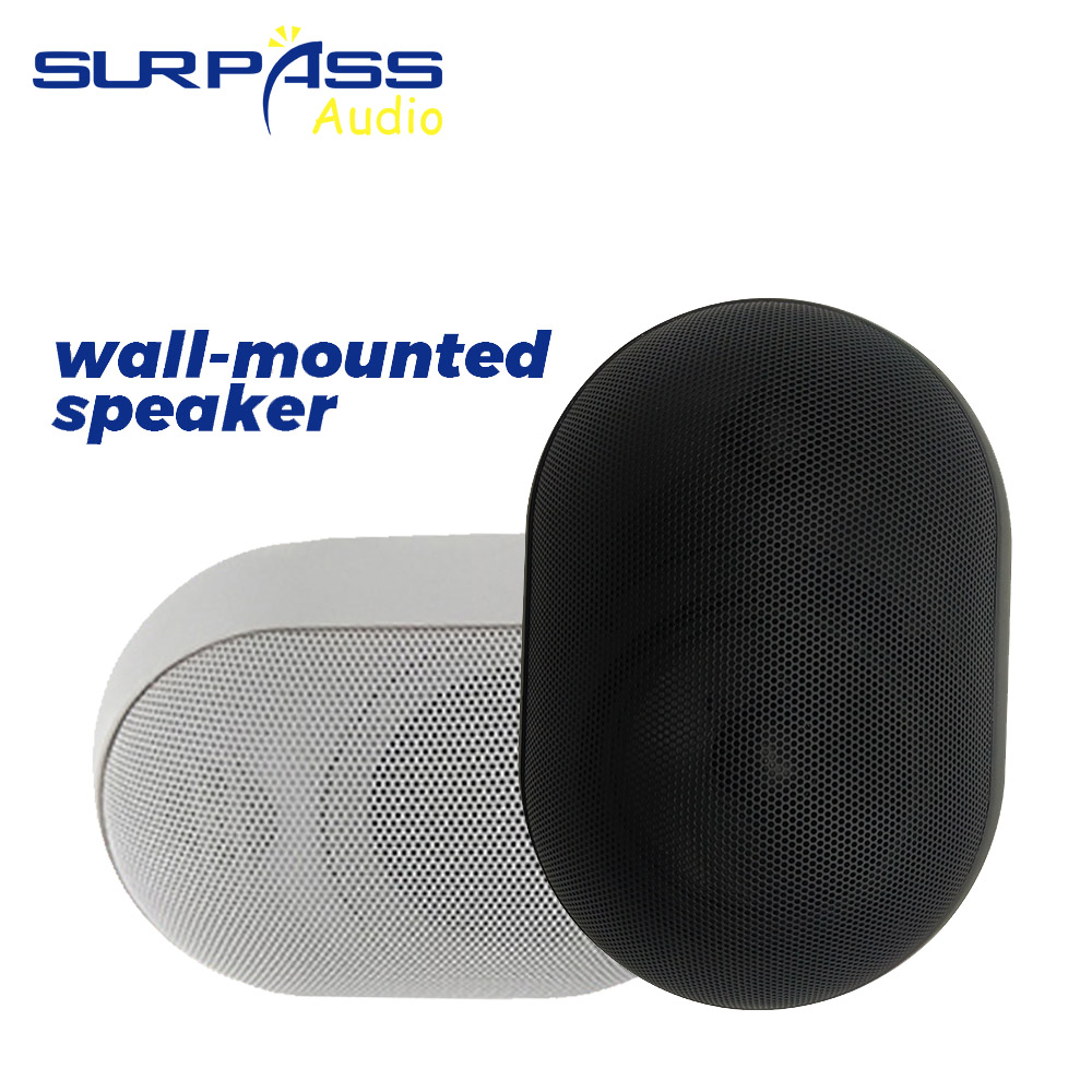 Altavoz de pared de 30W, resis - Audio Music Background Free reseña y precio