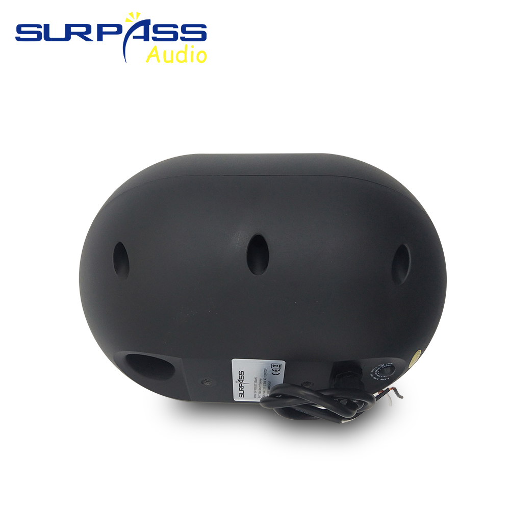 Altavoz de pared de 30W, resis - Audio Music Background Free reseña y precio