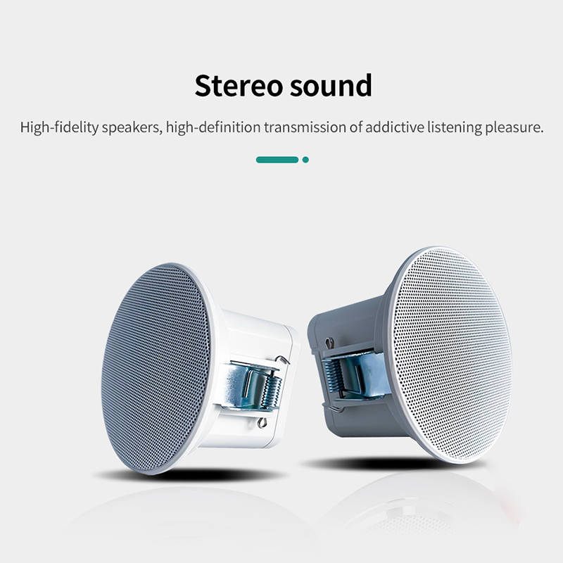 Mini Altavoz de Techo de 2 Pul - Audio Music Background Free reseña y precio